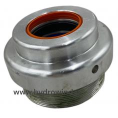 Dlawica silownika...