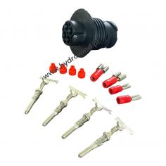 Gniazdo kompletne...