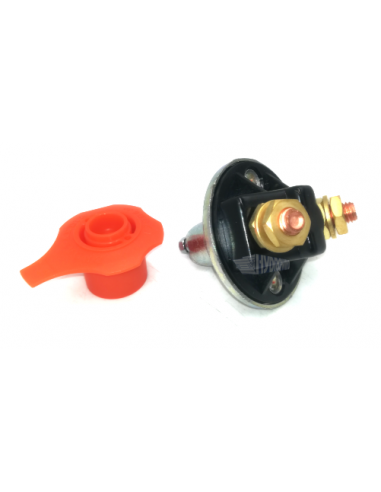 Wyłącznik główny do wind Dhollandia...