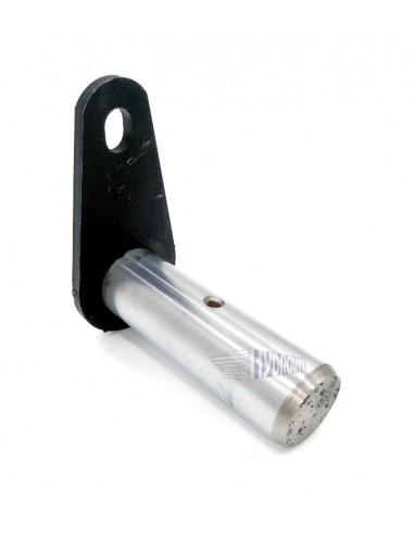 Sworzeń 25x100mm Dhollandia