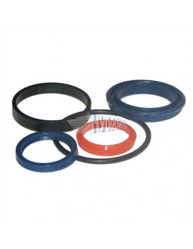 Uszczelniacze siłownika fi 35/60mm do wind Dhollandia