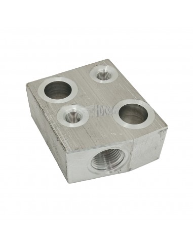 Blok zaworowy wysuwu windy Dhollandia