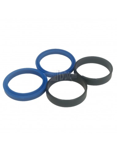 Uszczelniacze siłownika Dhollandia fi...