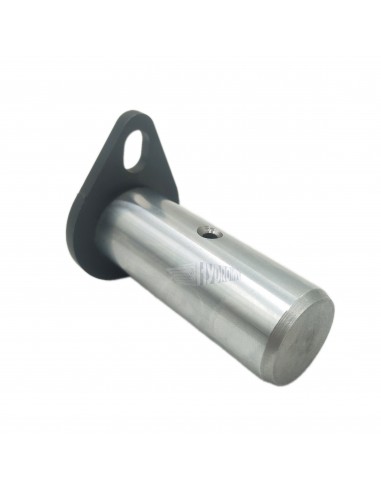 Sworzeń Fi 25x69 mm Dhollandia