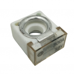 Blok Bezpiecznikowy Pudenz 300 A