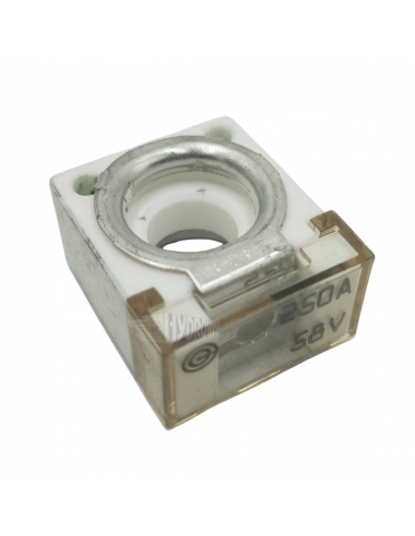 Blok bezpiecznikowy Pudenz 250A