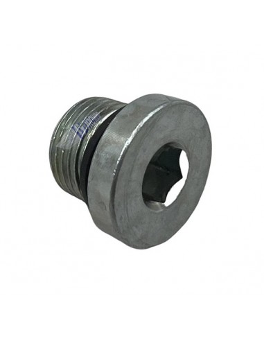 Korek bloku zaworowego Dhollandia 3/8