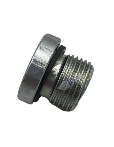 Korek bloku zaworowego Dhollandia 3/8