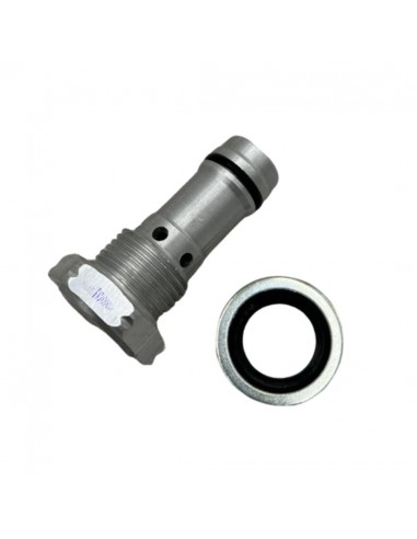 Śruba banjo z zaworem hamującym...