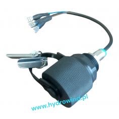 Stacyjka elektryczna...