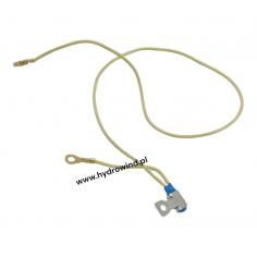 Czujnik termiczny...