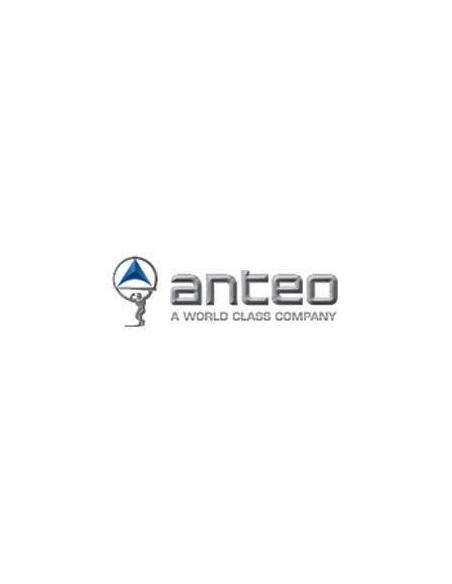 Anteo